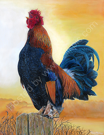'Sunrise Cockerel' Original painting By Julie Routley