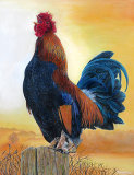'Sunrise Cockerel' Original painting By Julie Routley