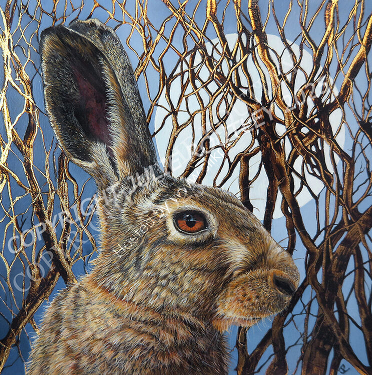 'Moon Gazing' Hare