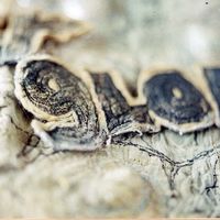 wake up, detail