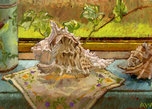 Two Shells on a Windowsill