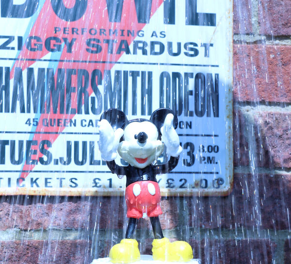 Steve - Micky Stardust