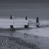 June - Misty Monotone