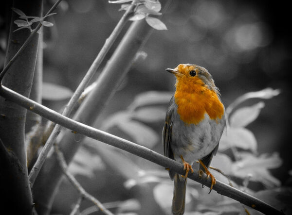 June - Bringing Warmth to Winter - 2nd (24 votes)