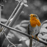 June - Bringing Warmth to Winter - 2nd (24 votes)