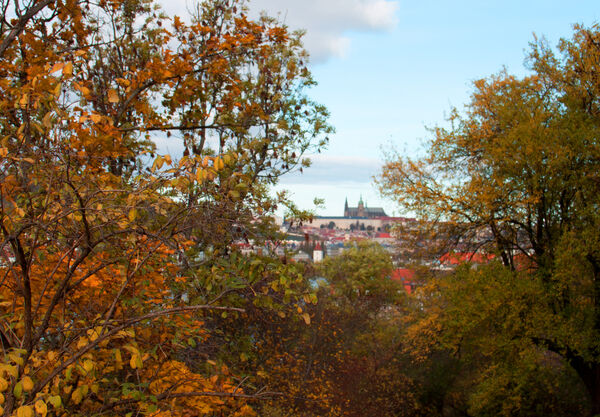 Carolyn - Autumnal Prague