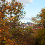 Carolyn - Autumnal Prague