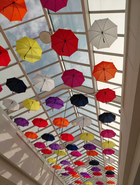 Ellie - Parasol Parade