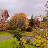 Jill - Our Front Garden this Week