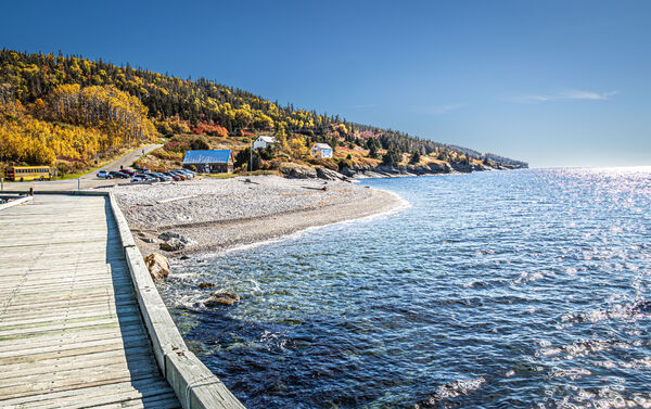 Larry - Colour Gaspe, Quebec, Canada