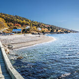 Larry - Colour Gaspe, Quebec, Canada
