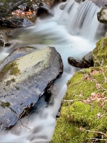 Richard - Lake District