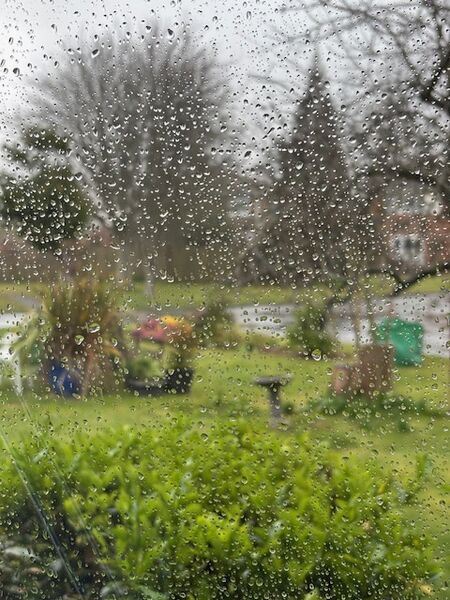 Jill - And yet more rain