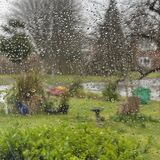Jill - And yet more rain