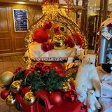 Richard - Display at Denbies Vinyard