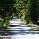 16 - Shady Walk on a Summer Day