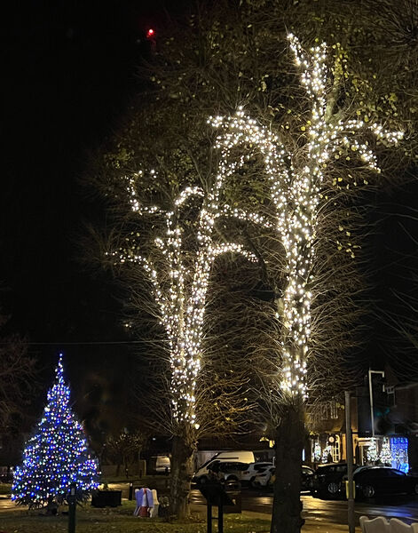 Rod - Angmering Christmas with a red star of Heaven