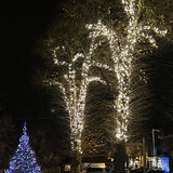 Rod - Angmering Christmas with a red star of Heaven