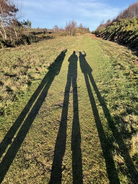 17 - Walking on the heath