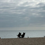 Raj - Watching the Waves
