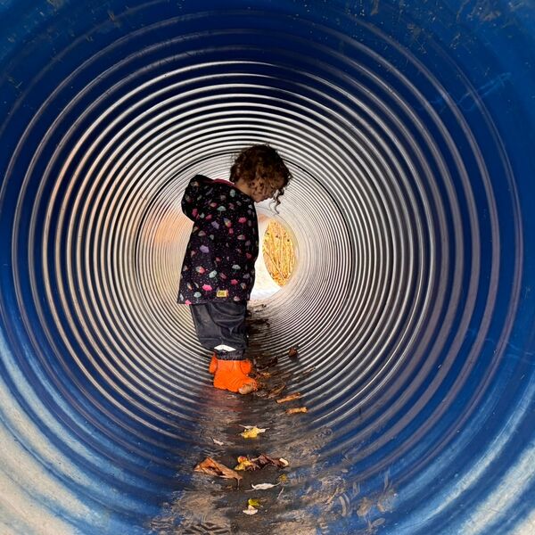 Vanessa- Life in a Tin Can