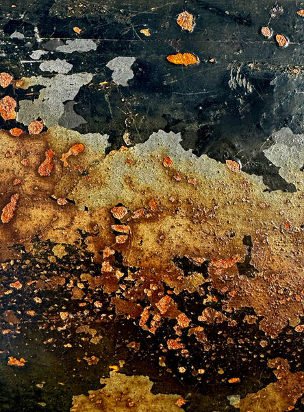 Gay - Earth Tones - 2nd (8 votes)