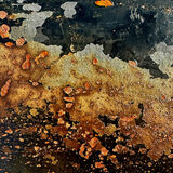 Gay - Earth Tones - 2nd (8 votes)