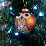 Barrie - Terwit Terwoo - 3rd (14 votes)