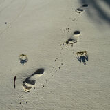 Raj - Beach Combers are about