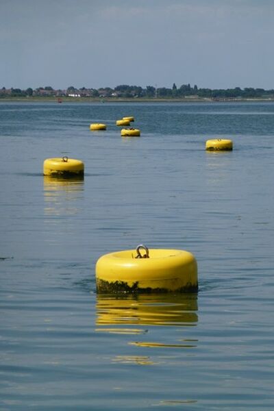 Barrie - Buoys will be Buoys