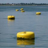 Barrie - Buoys will be Buoys