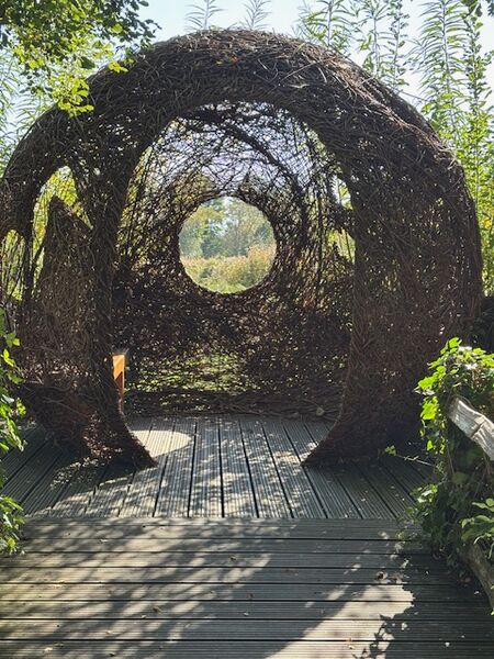 1 - Shadows at Wetlands, Arundel