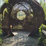 1 - Shadows at Wetlands, Arundel