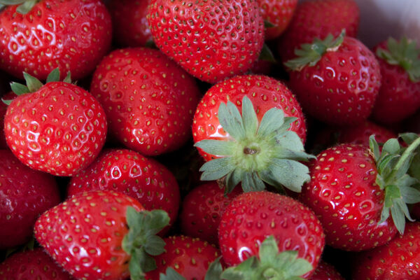Carolyn - Summer Strawberries
