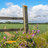 June - Over the stile for a summer walk