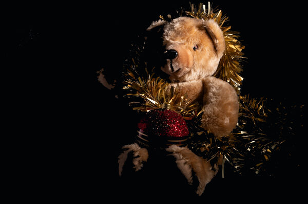 22 - Christmas Teddy