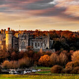 October - EARTH TONES