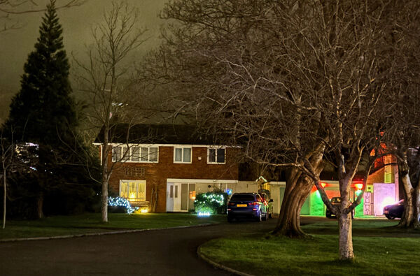 Jill - Neighbourhood in December