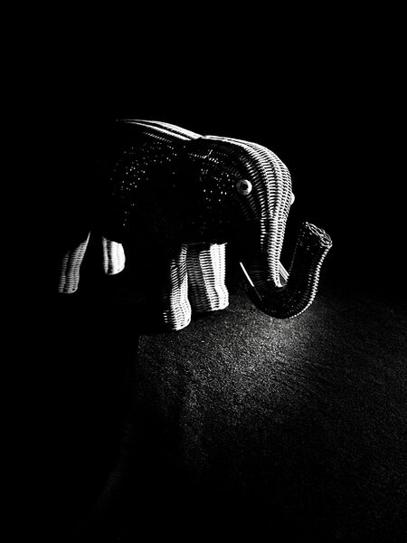 26 - Nellie the Elephant