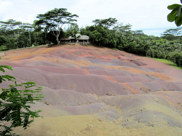 Ellie - Seven Coloured Earths