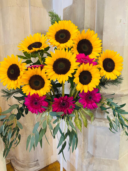 Jill - Summer Sunflowers