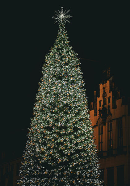 Liz - Christmas Tree