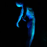 31 - Bending over Backwards