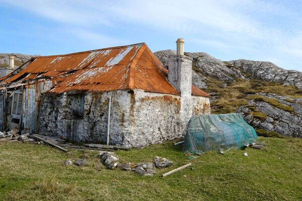 Guy - Entropy in Action