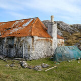 Guy - Entropy in Action