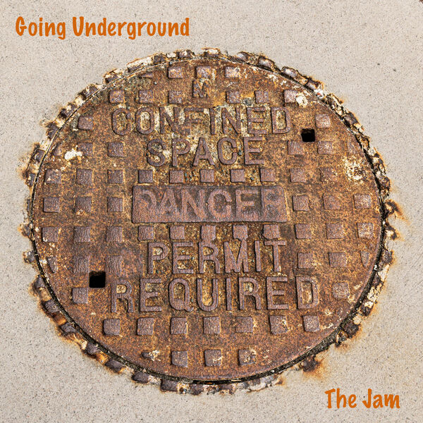 Larry  - Going Underground - 2nd (17 votes)