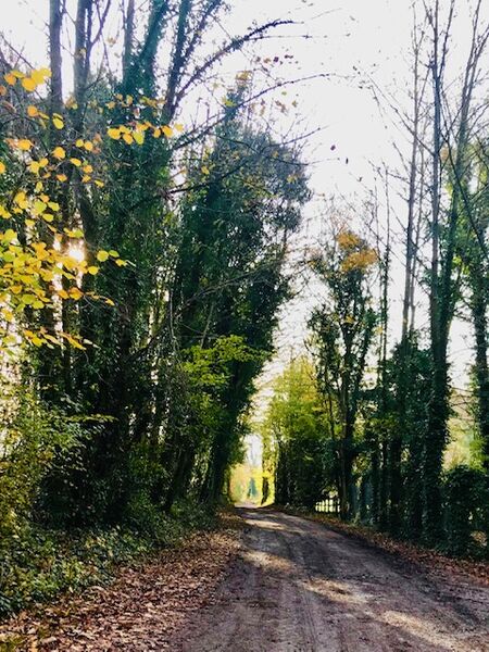 Bridget - Muddy Road - autumn on the way