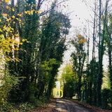 Bridget - Muddy Road - autumn on the way