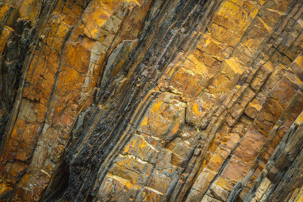 Rod - Sandymouth Bay Joint 3rd (7 votes)