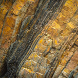 Rod - Sandymouth Bay Joint 3rd (7 votes)